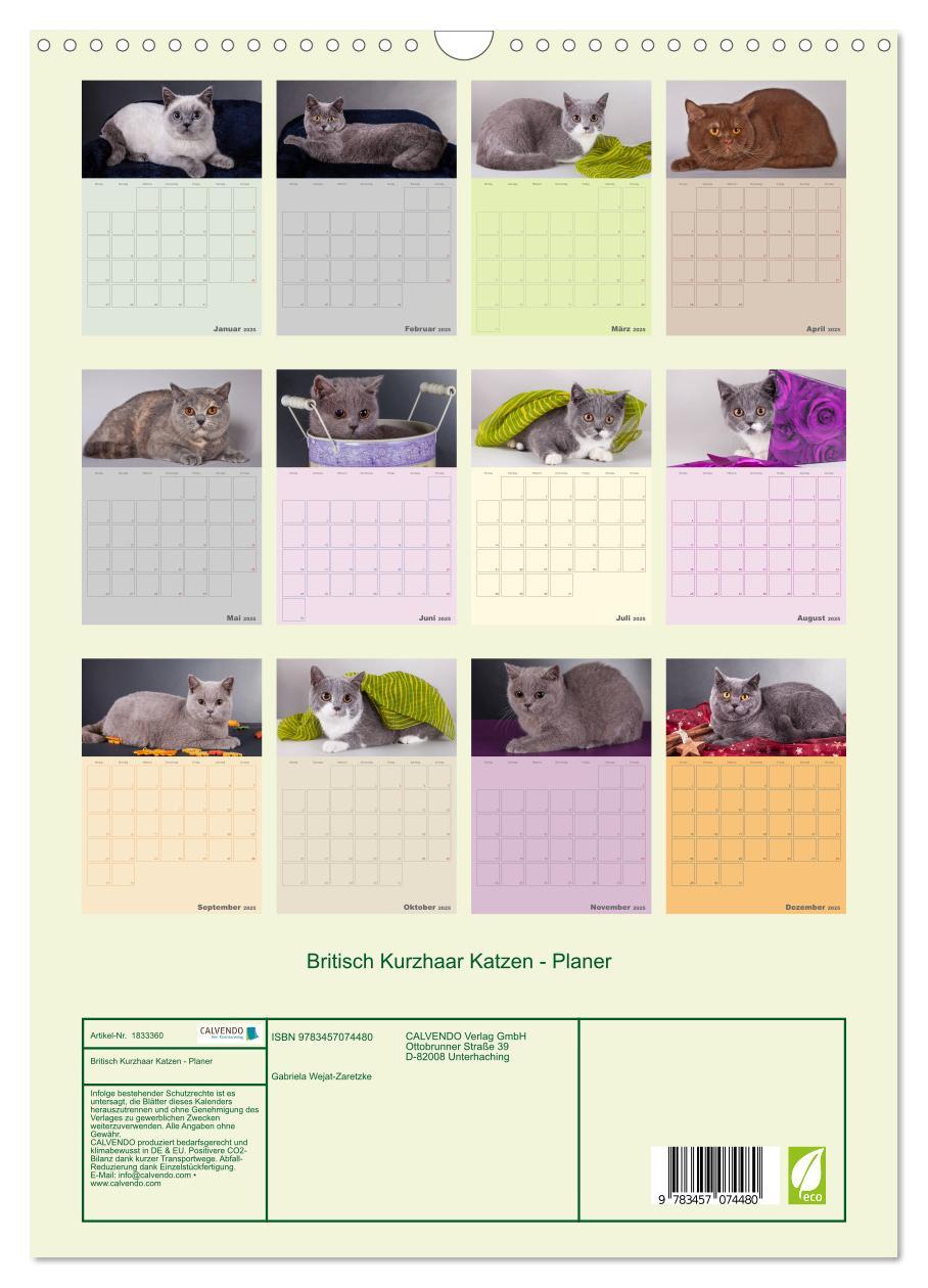 Bild: 9783457074480 | Britisch Kurzhaar Katzen - Planer (Wandkalender 2025 DIN A3 hoch),...