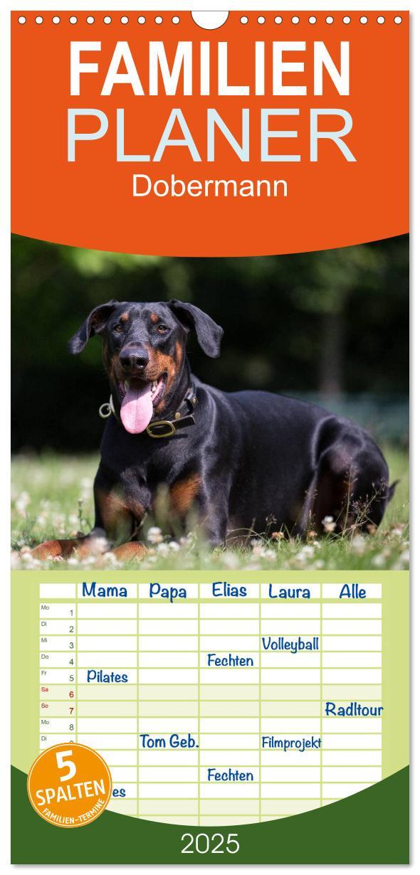 Cover: 9783457112137 | Familienplaner 2025 - Dobermann mit 5 Spalten (Wandkalender, 21 x...