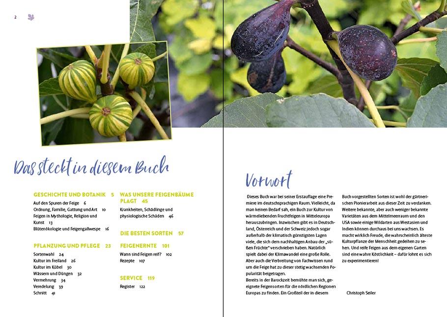 Bild: 9783818616212 | Feigen aus dem eigenen Garten | Christoph Seiler | Taschenbuch | 2022