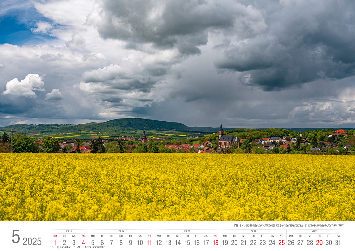 Bild: 9783965352384 | Die Pfalz 2025 Bildkalender A3 Spiralbindung | Holger Klaes | Kalender