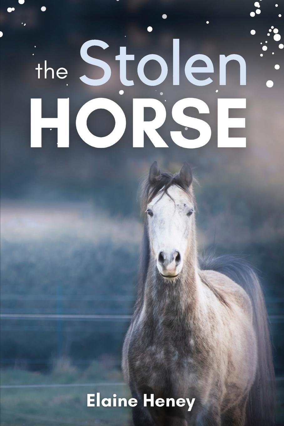 Cover: 9781915542014 | The Stolen Horse - Book 4 in the Connemara Horse Adventure Series...