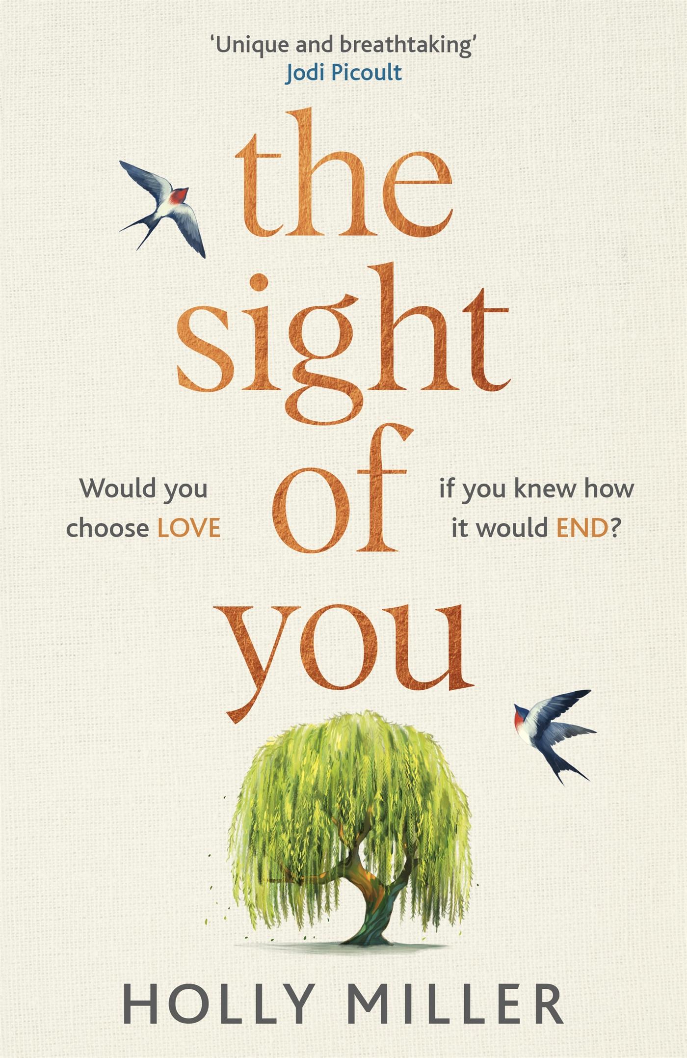 Cover: 9781529324341 | The Sight of You | Holly Miller | Buch | Englisch | 2020