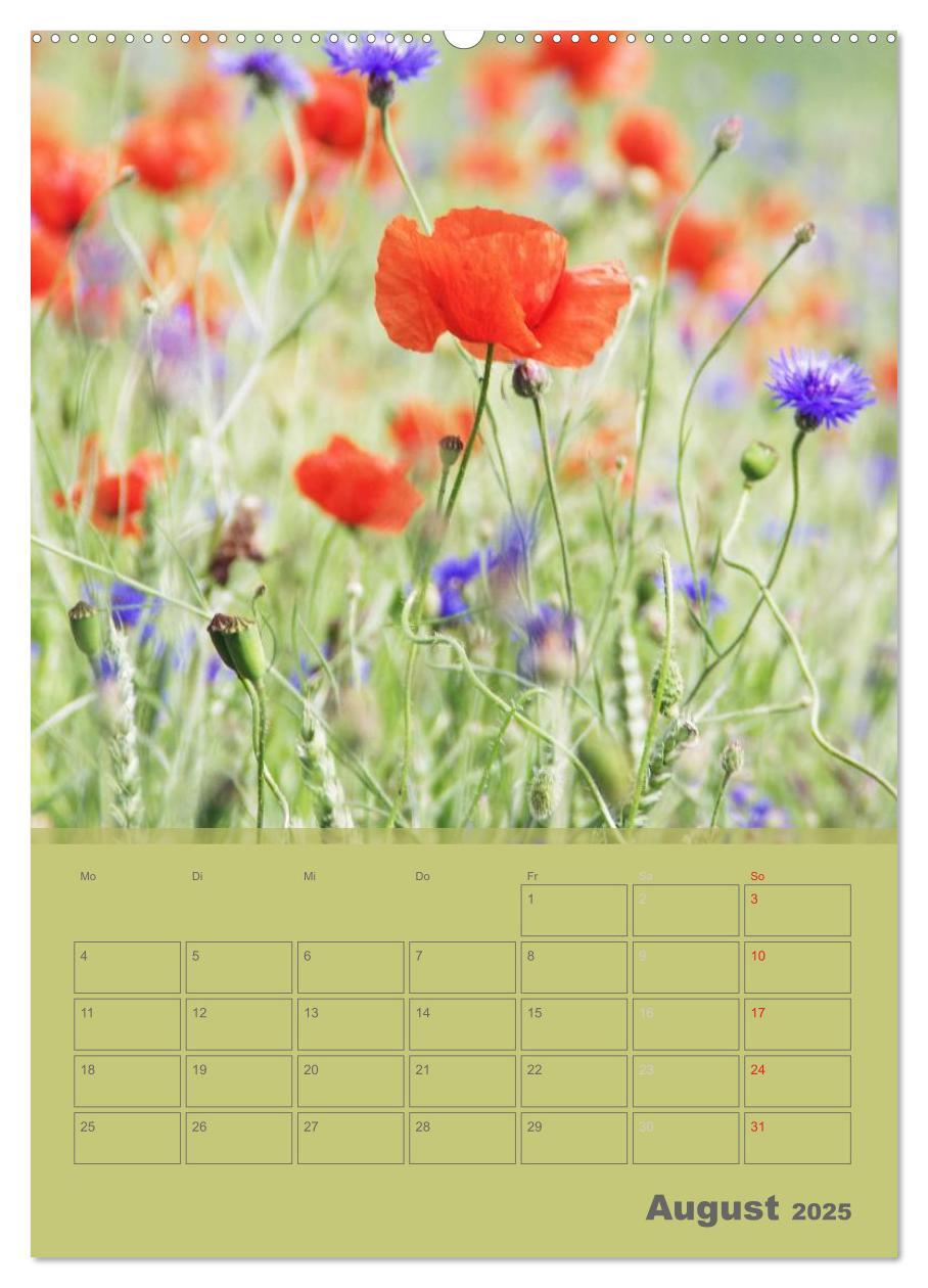 Bild: 9783457087817 | Naturbilder (Wandkalender 2025 DIN A2 hoch), CALVENDO Monatskalender