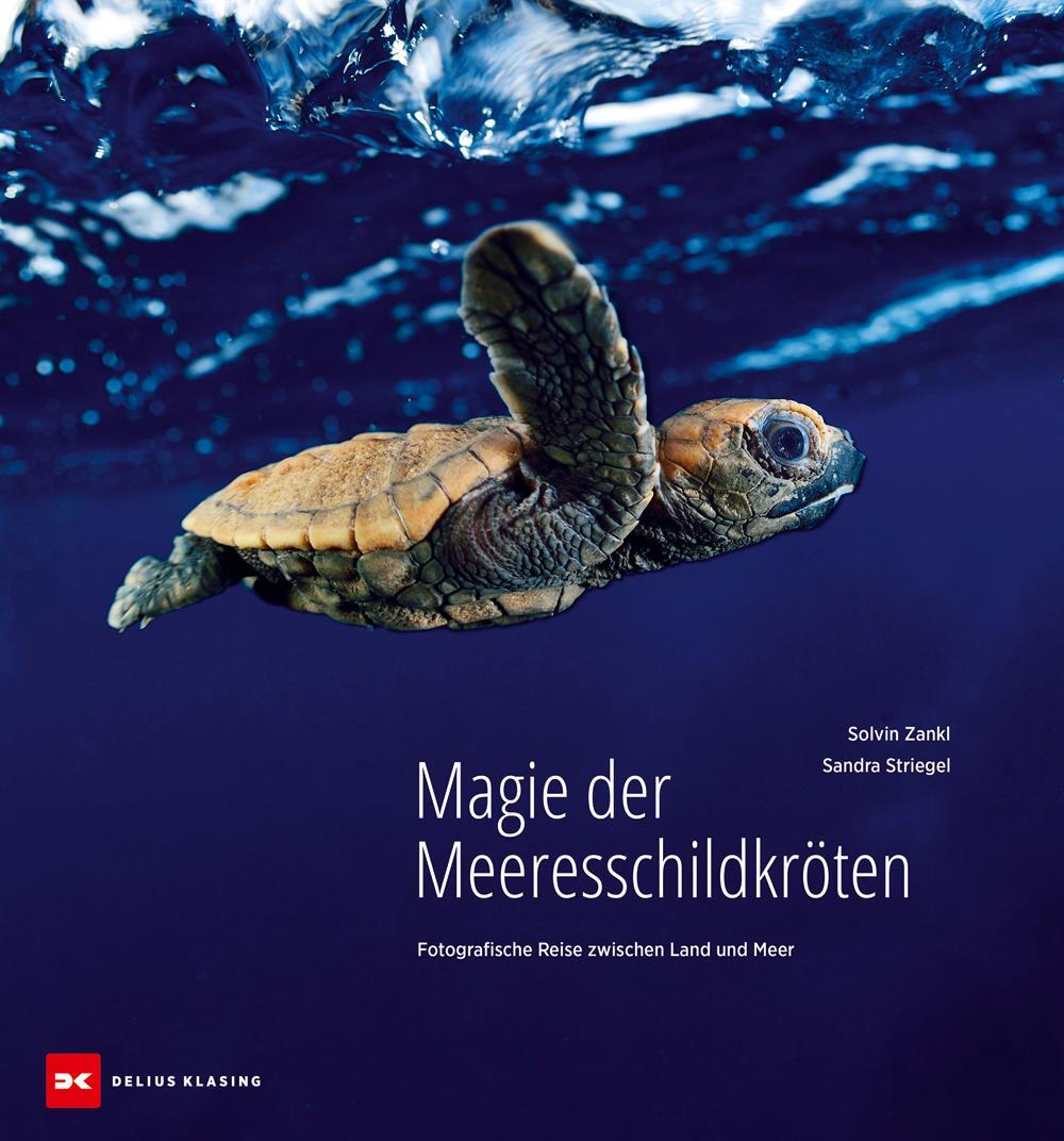 Cover: 9783667129710 | Magie der Meeresschildkröten | Sandra Striegel | Buch | 160 S. | 2024