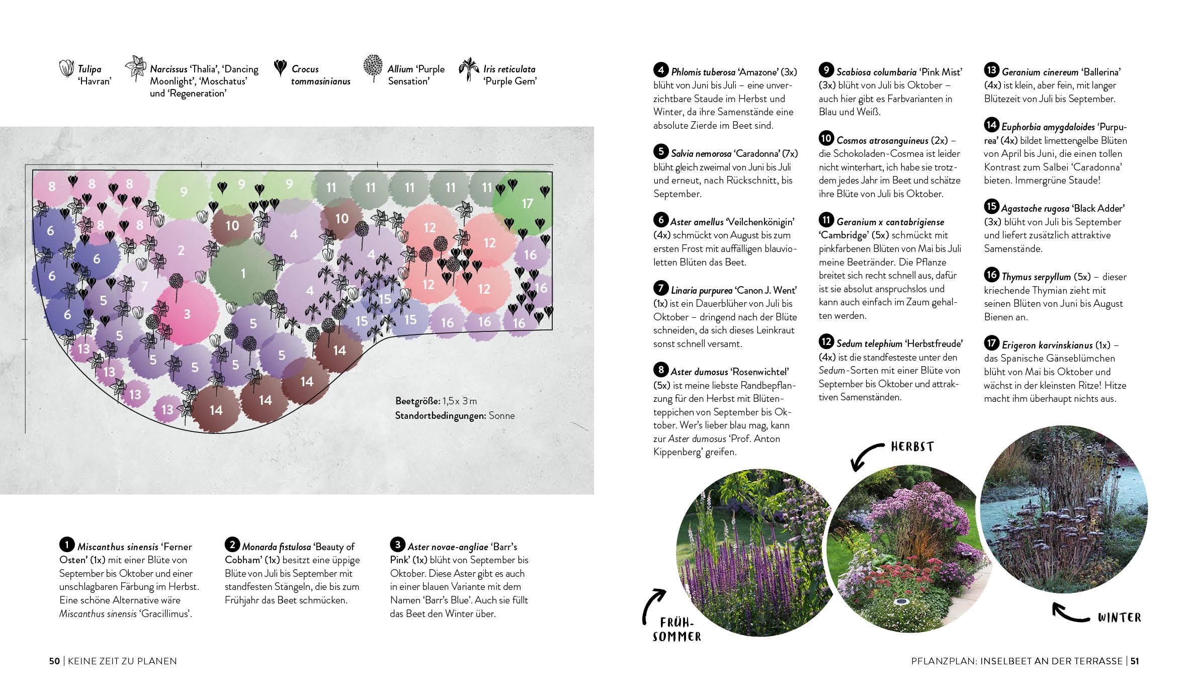 Bild: 9783745914672 | Keine Zeit zu Gärtnern - Blumenparadies mit wenig Aufwand | Leo | Buch