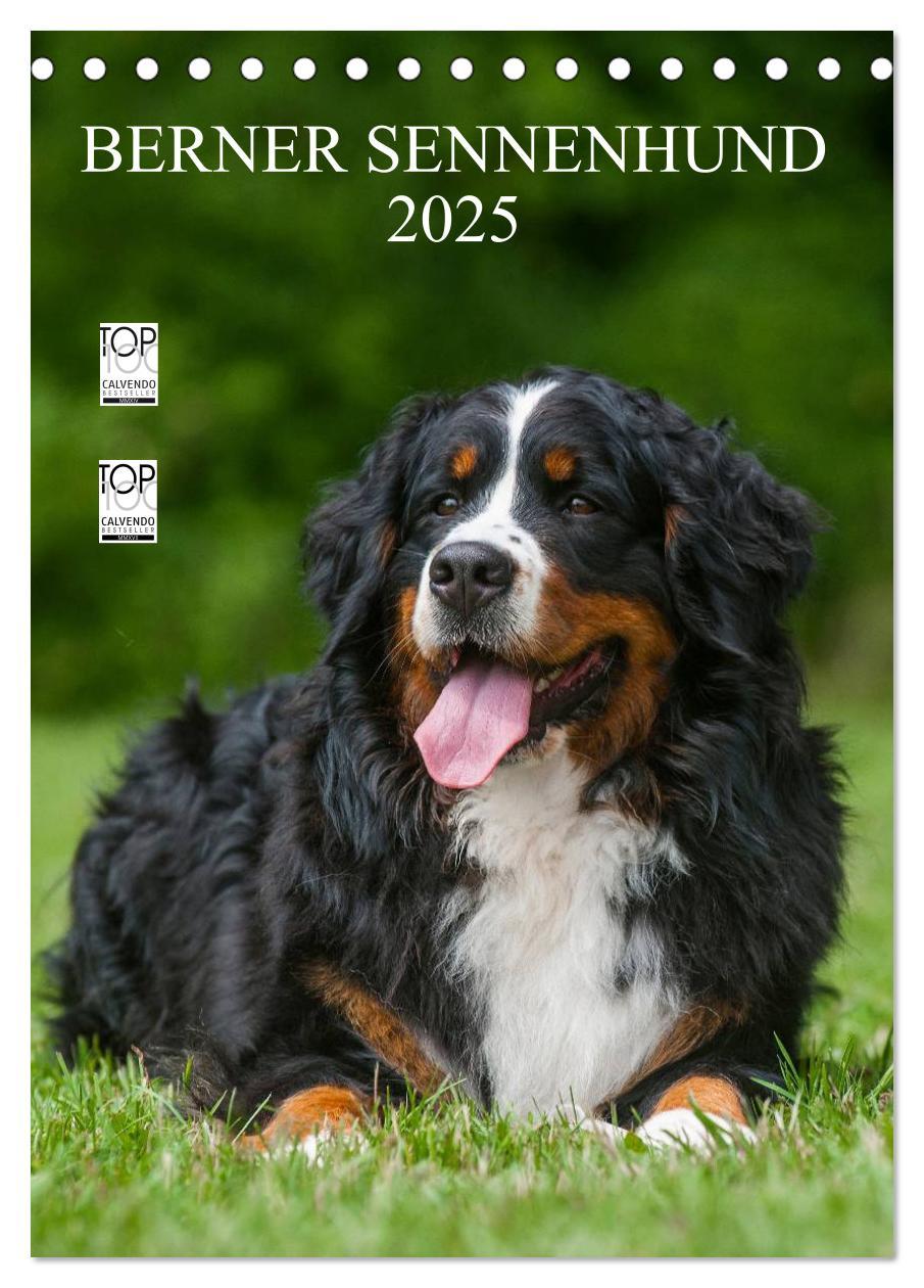 Cover: 9783457068489 | Berner Sennenhund 2025 (Tischkalender 2025 DIN A5 hoch), CALVENDO...