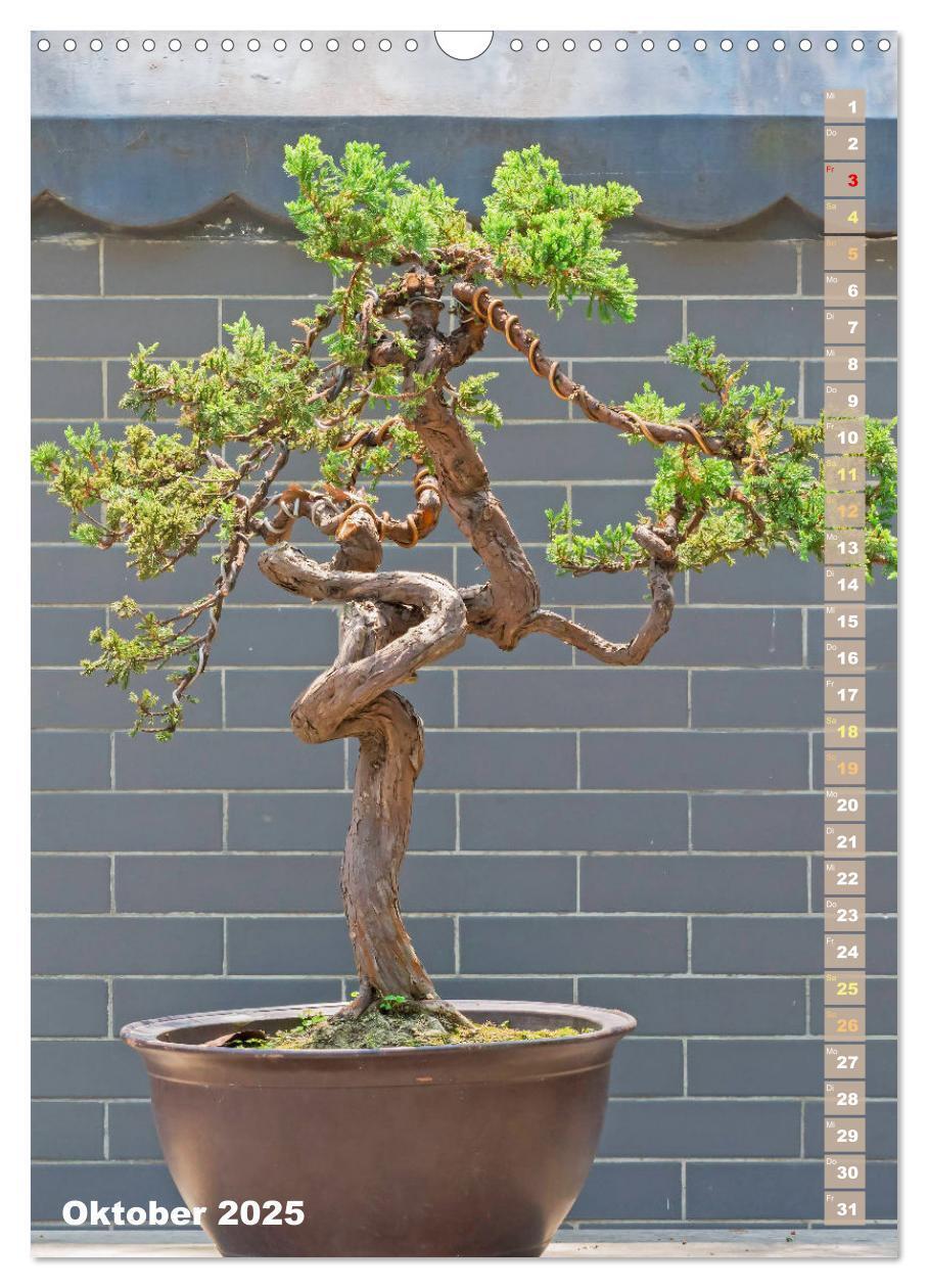 Bild: 9783435851232 | Bonsai: Gartenkunst im Kleinen (Wandkalender 2025 DIN A3 hoch),...