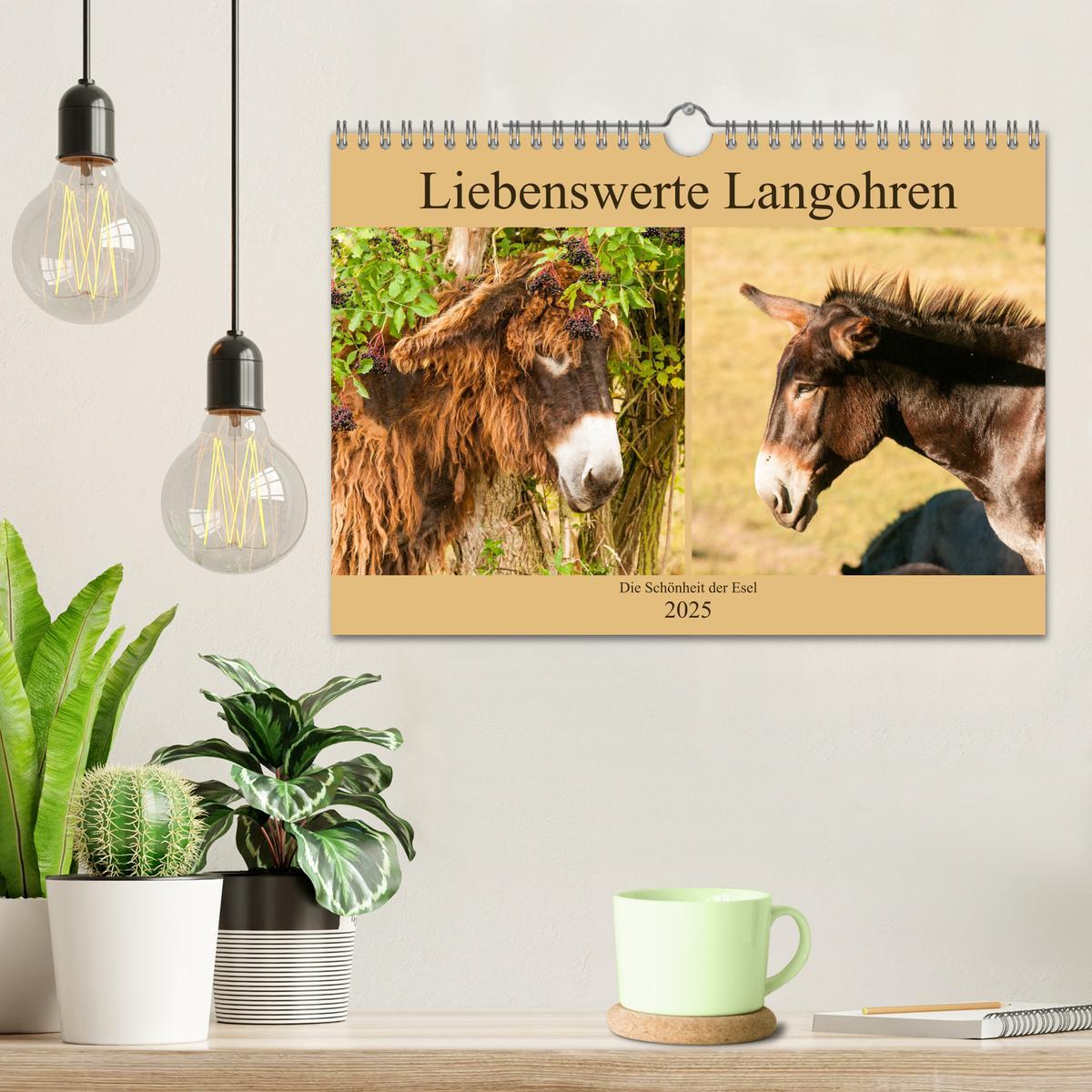 Bild: 9783435269723 | Liebenswerte Langohren - Die Schönheit der Esel (Wandkalender 2025...