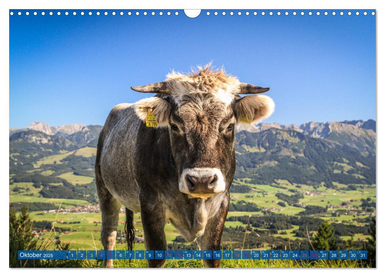 Bild: 9783435192434 | Allgäu - Perle im Süden (Wandkalender 2025 DIN A3 quer), CALVENDO...