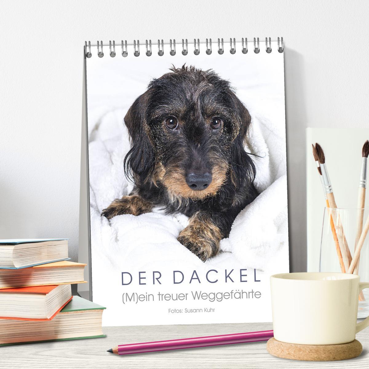 Bild: 9783435982561 | Der Dackel (M)ein treuer Weggefährte (Tischkalender 2025 DIN A5...