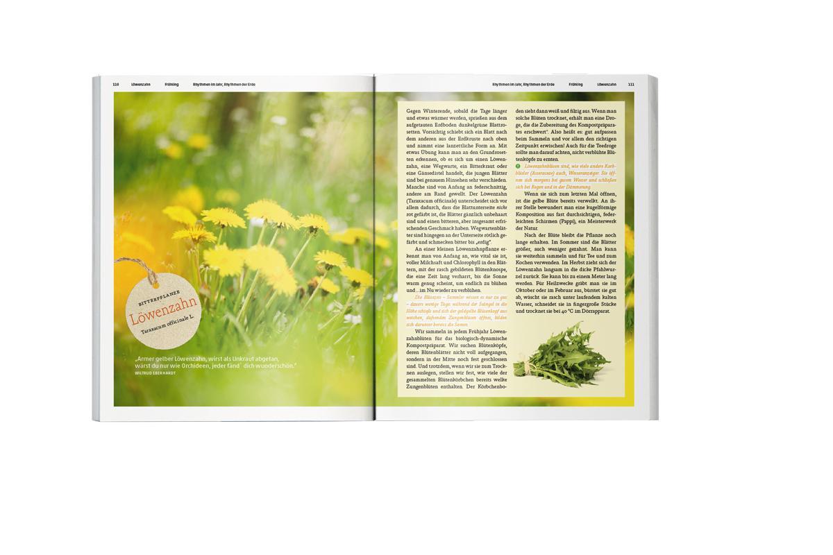 Bild: 9783723515211 | Ars Herbaria | Heilpflanzen im Jahreslauf | Karin Mecozzi | Buch