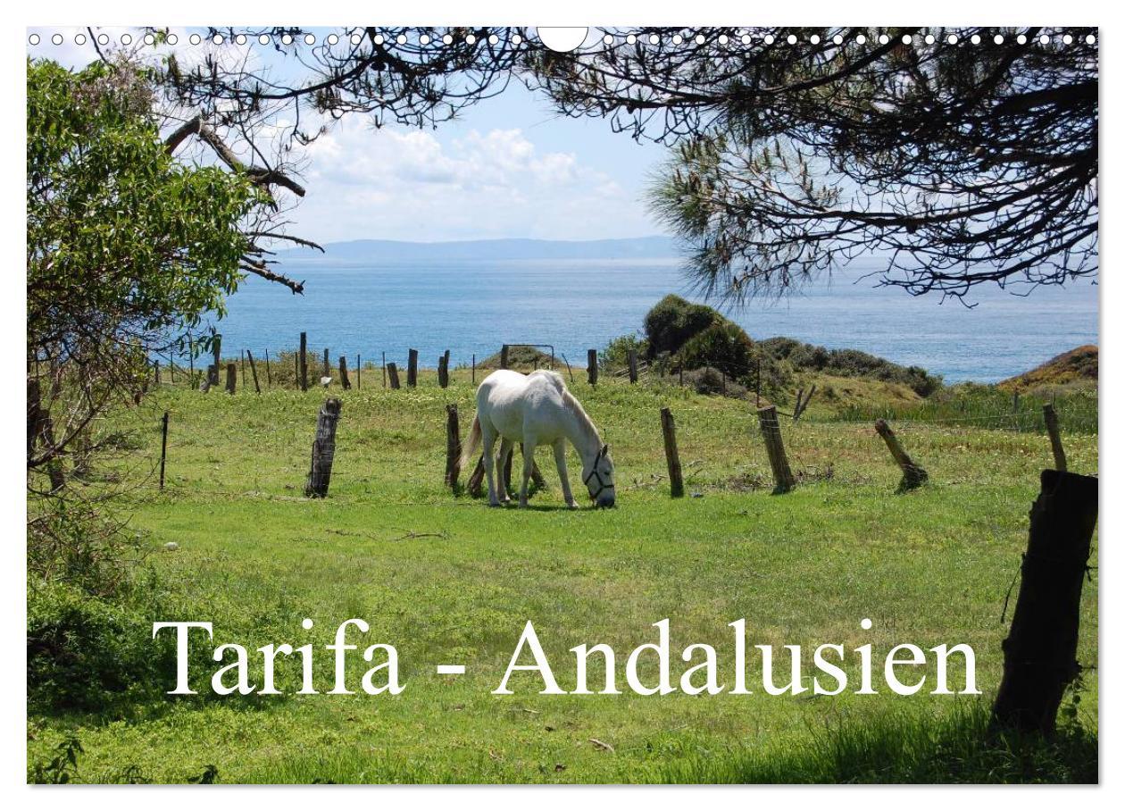 Cover: 9783435708130 | Tarifa - Andalusien (Wandkalender 2025 DIN A3 quer), CALVENDO...