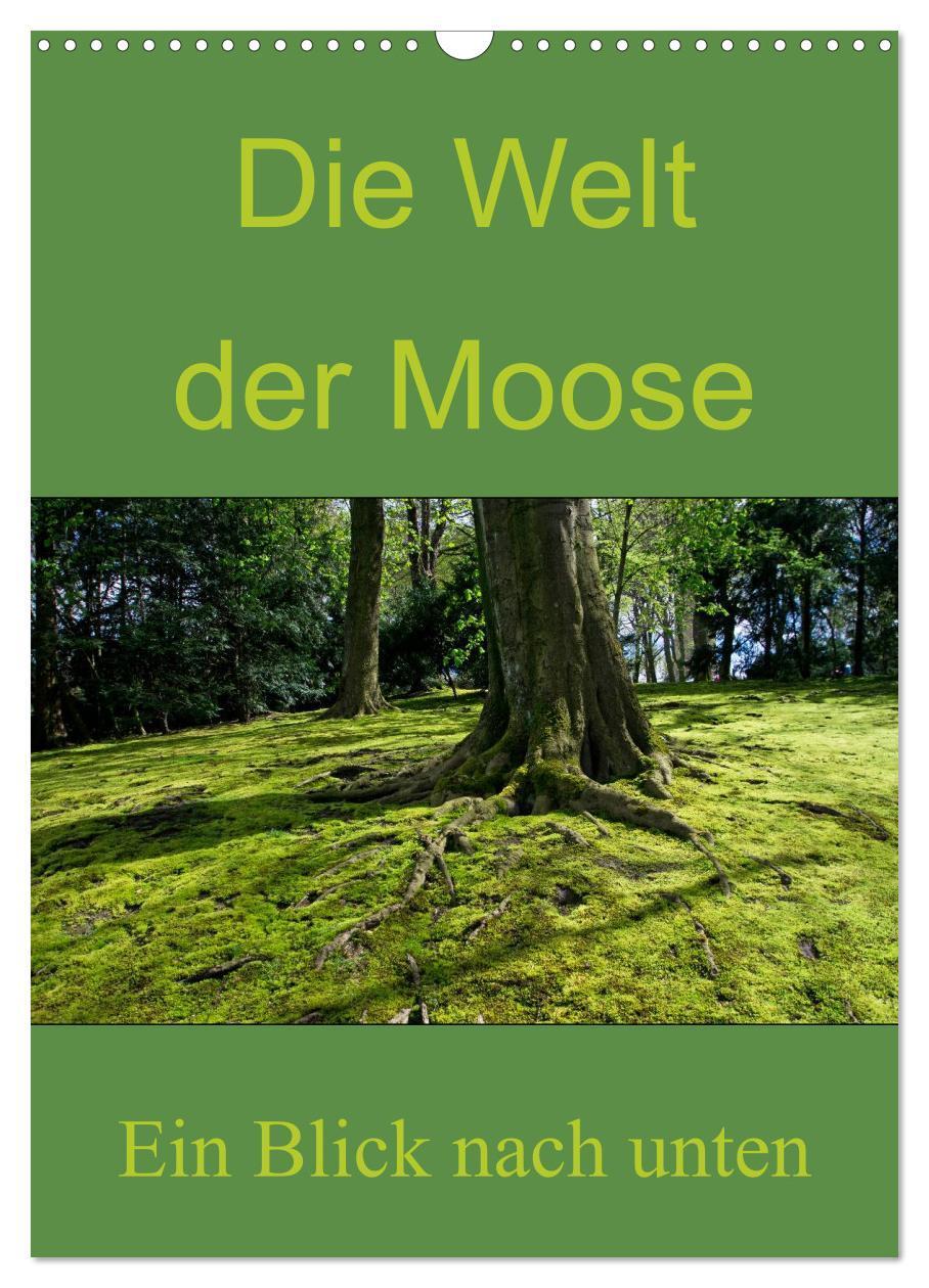 Cover: 9783383250088 | Die Welt der Moose. Ein Blick nach unten (Wandkalender 2024 DIN A3...