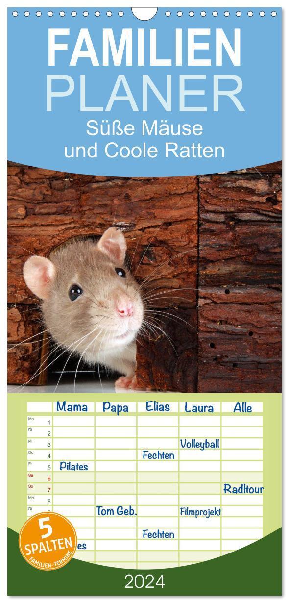 Cover: 9783383100635 | Familienplaner 2024 - Süße Mäuse und Coole Ratten mit 5 Spalten...