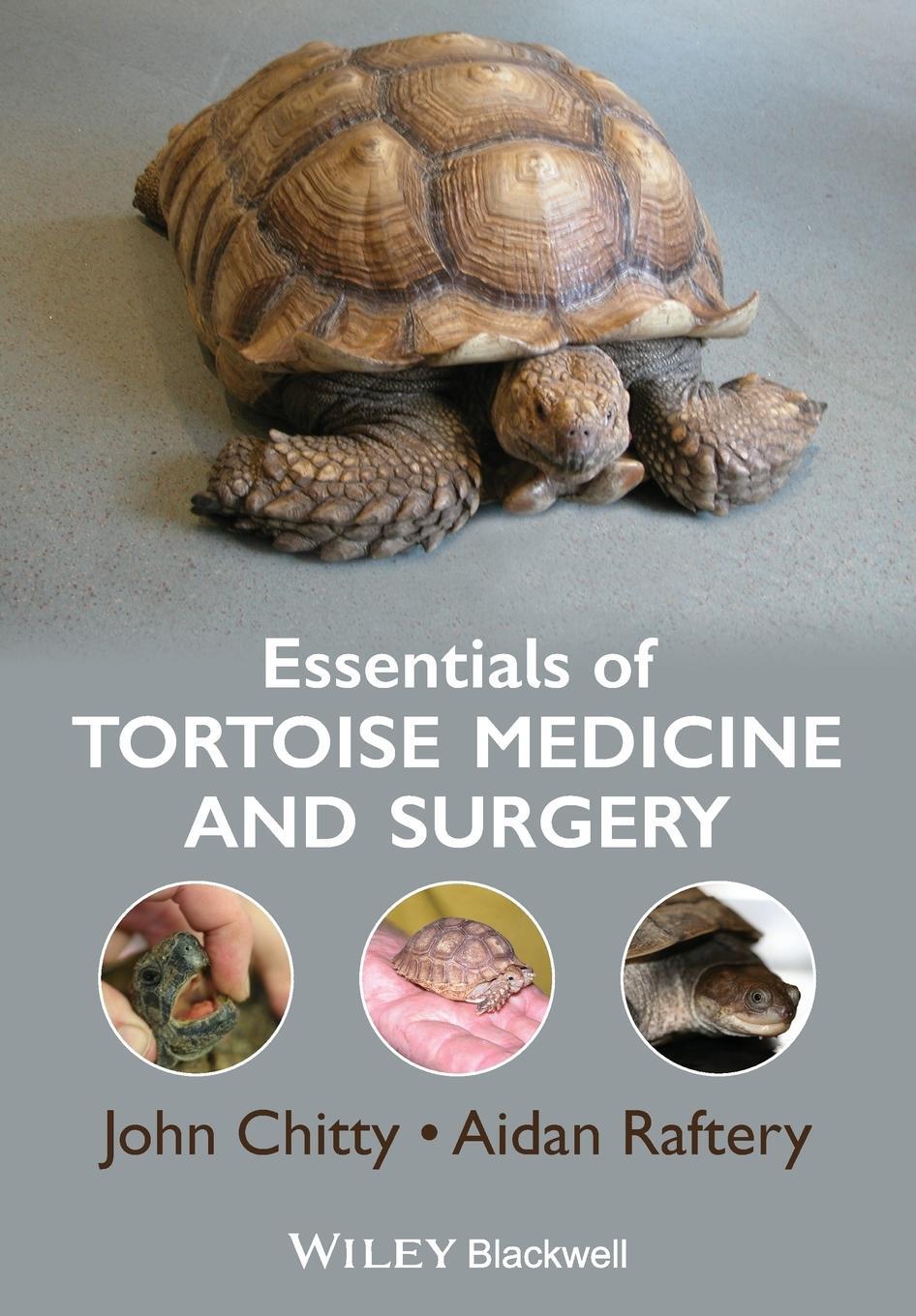 Cover: 9781405195447 | Essentials Tortoise Medicine | Chitty | Taschenbuch | Paperback | 2013