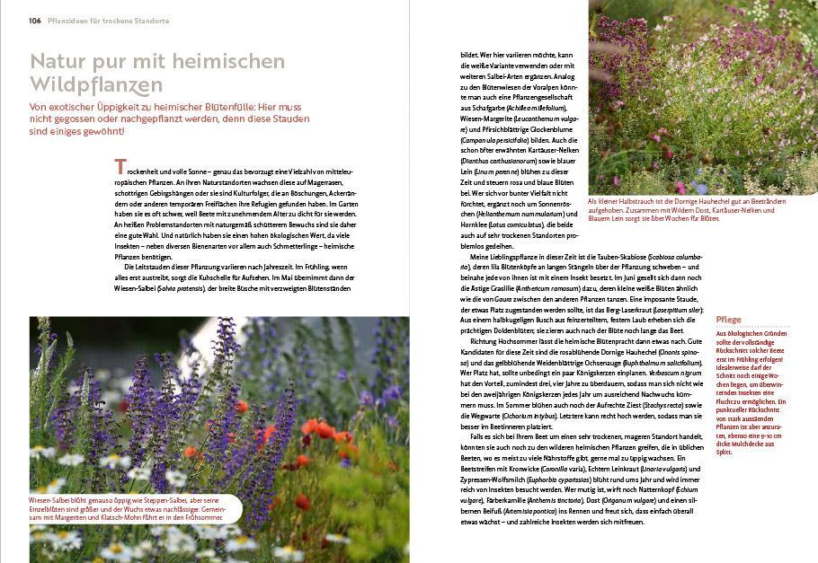 Bild: 9783818617653 | Echte Hitzeprofis | Katrin Lugerbauer | Taschenbuch | 144 S. | Deutsch