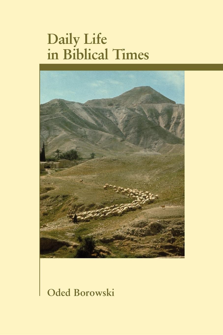 Cover: 9781589830424 | Daily Life in Biblical Times | Oded Borowski | Taschenbuch | Paperback