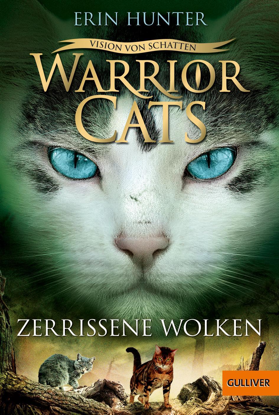 Cover: 9783407812582 | Warrior Cats - 06/3 Vision von Schatten. Zerrissene Wolken | Hunter