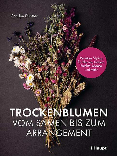 Cover: 9783258602325 | Trockenblumen - vom Samen bis zum Arrangement | Carolyn Dunster | Buch
