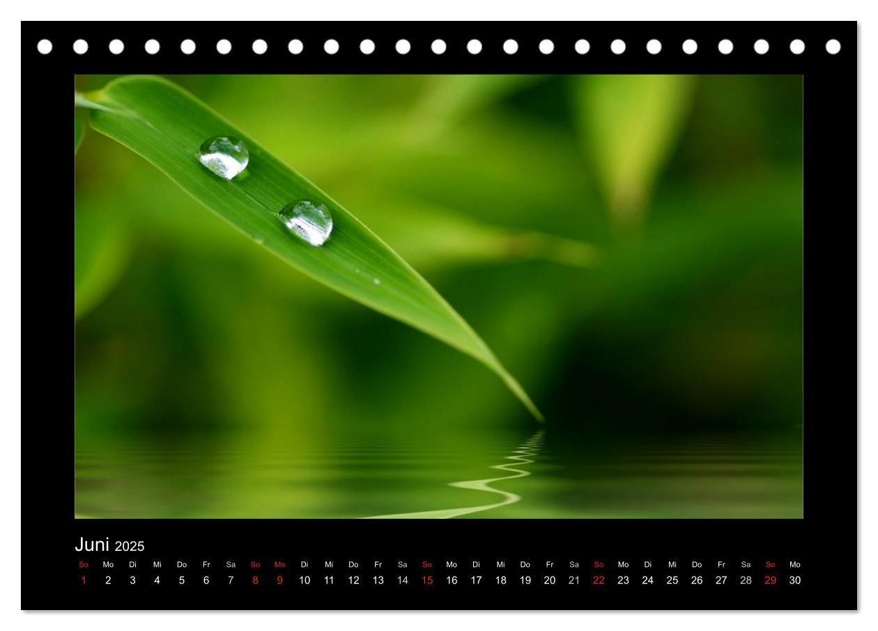 Bild: 9783435838981 | Meine kleine grüne Wassertropfen Welt (Tischkalender 2025 DIN A5...