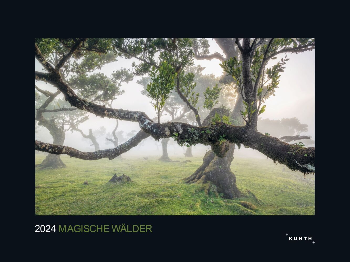 Cover: 9783965912588 | Magische Wälder - KUNTH Wandkalender 2024 | Kalender | 14 S. | Deutsch