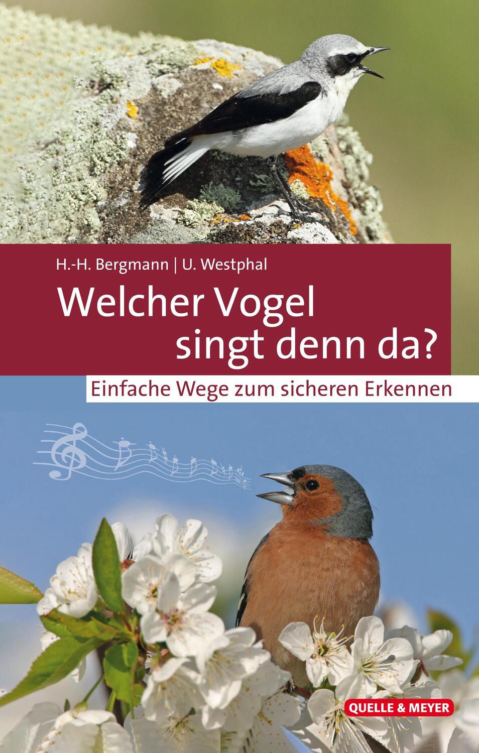 Cover: 9783494017969 | Welcher Vogel singt denn da? | Einfache Wege zum sicheren Erkennen