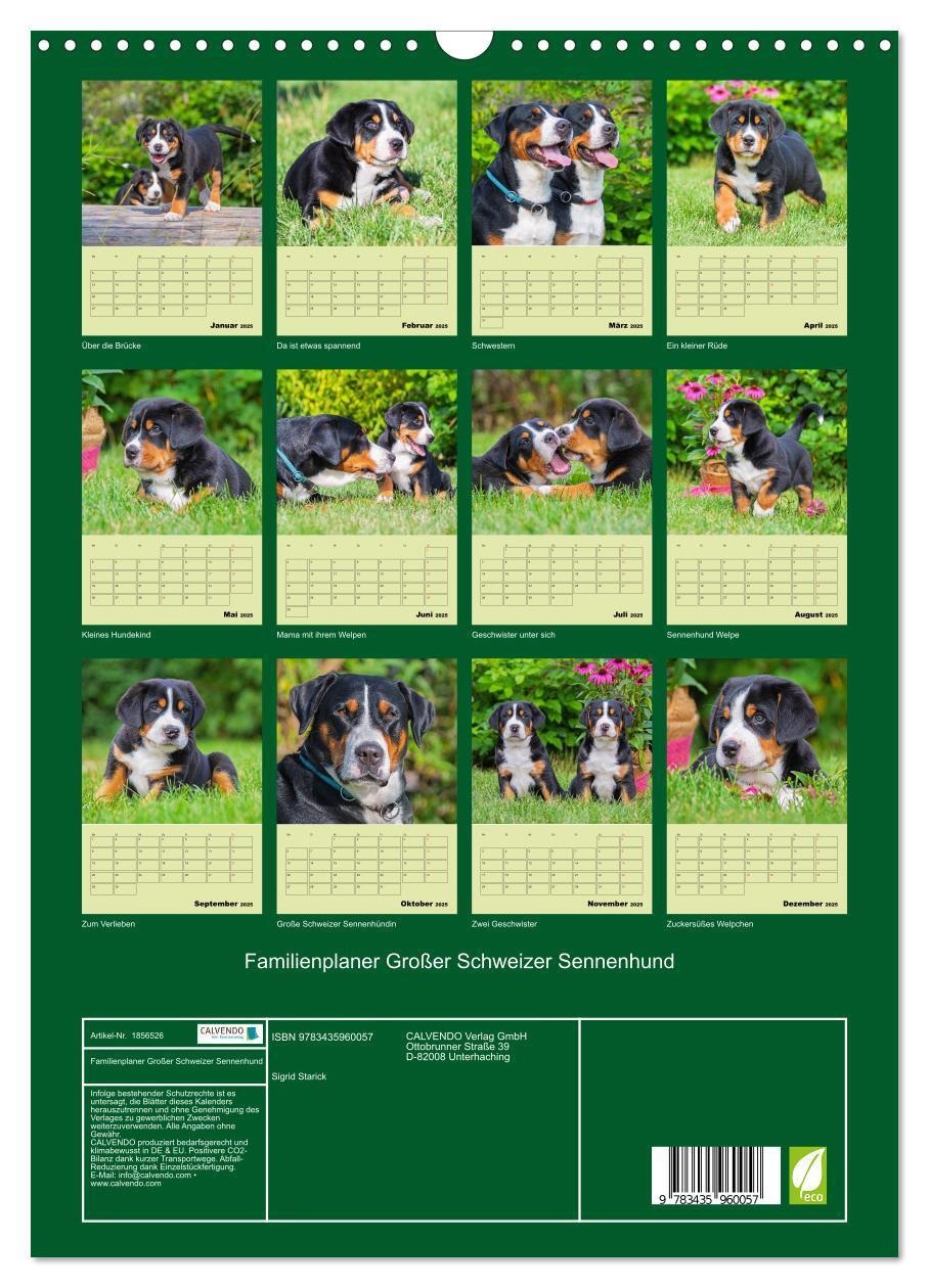 Bild: 9783435960057 | Familienplaner Großer Schweizer Sennenhund (Wandkalender 2025 DIN...