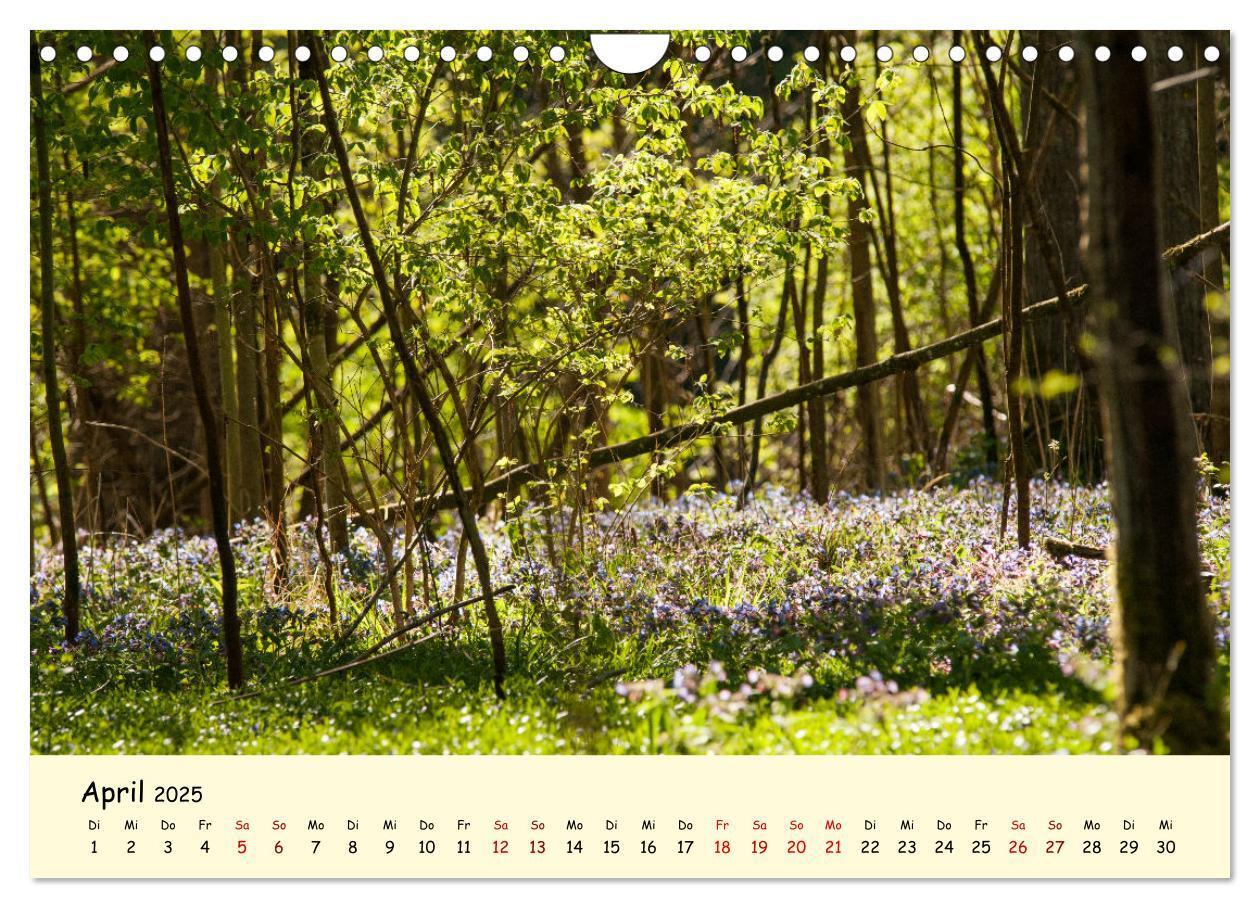 Bild: 9783435012237 | Müngstener Brücke - Landschaft rund um Solingen (Wandkalender 2025...