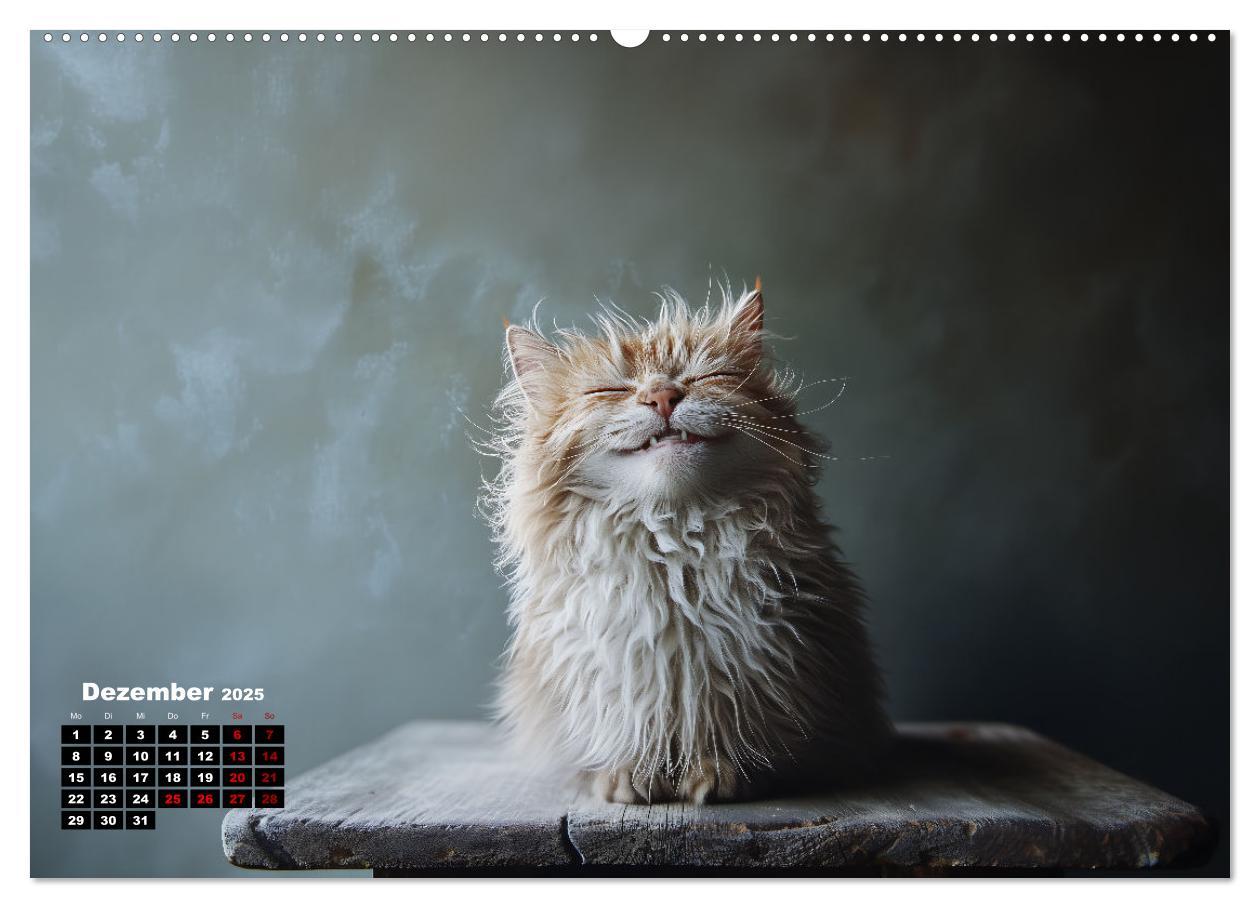 Bild: 9783457202128 | Auch Katzen lachen gern (hochwertiger Premium Wandkalender 2025 DIN...