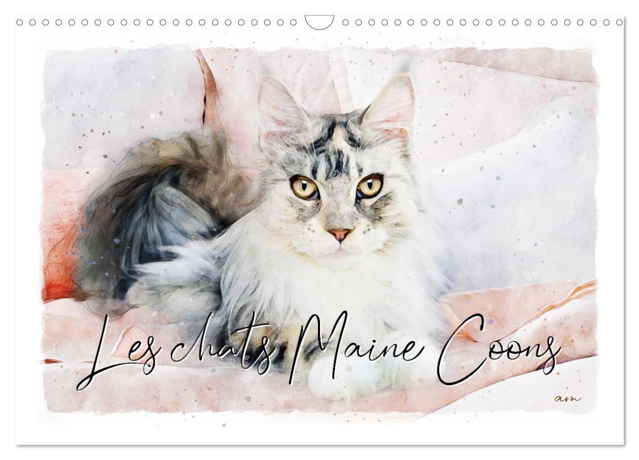 Cover: 9781325892952 | Les chats Maine Coons (Calendrier mural 2024 DIN A3 vertical),...
