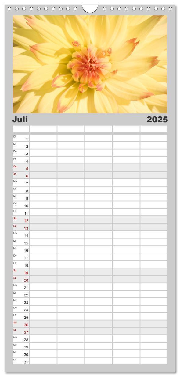 Bild: 9783457100066 | Familienplaner 2025 - Dahlien-Kronen mit 5 Spalten (Wandkalender,...