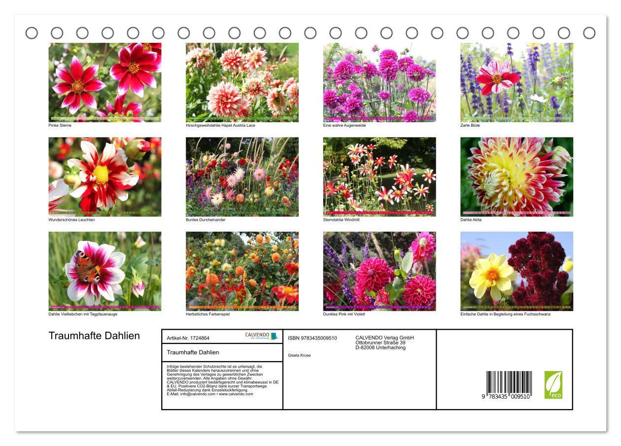 Bild: 9783435009510 | Traumhafte Dahlien (Tischkalender 2025 DIN A5 quer), CALVENDO...