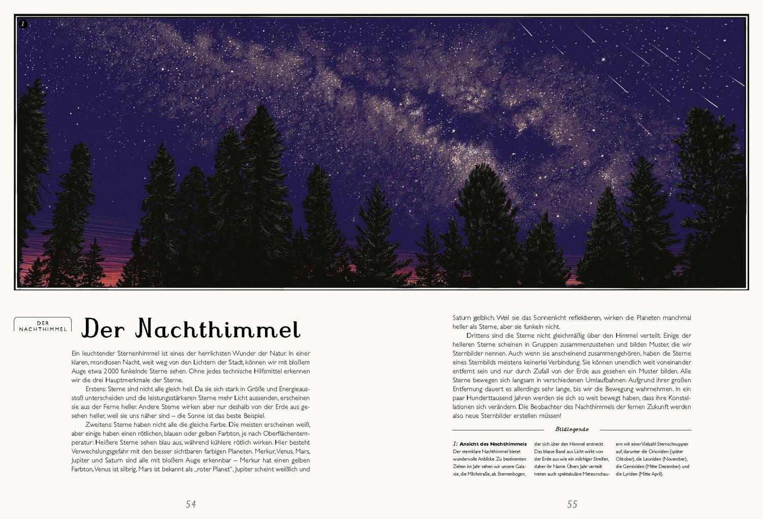 Bild: 9783791373522 | Das Planetarium | Eintritt frei! | Raman K. Prinja | Buch | 112 S.