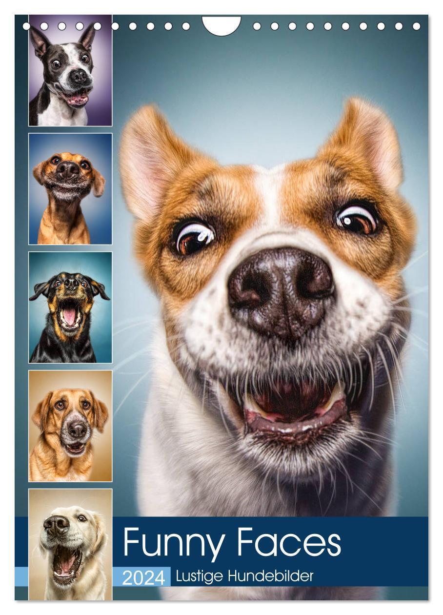 Cover: 9783675755680 | Funny Faces - Lustige Hundebilder (Wandkalender 2024 DIN A4 hoch),...