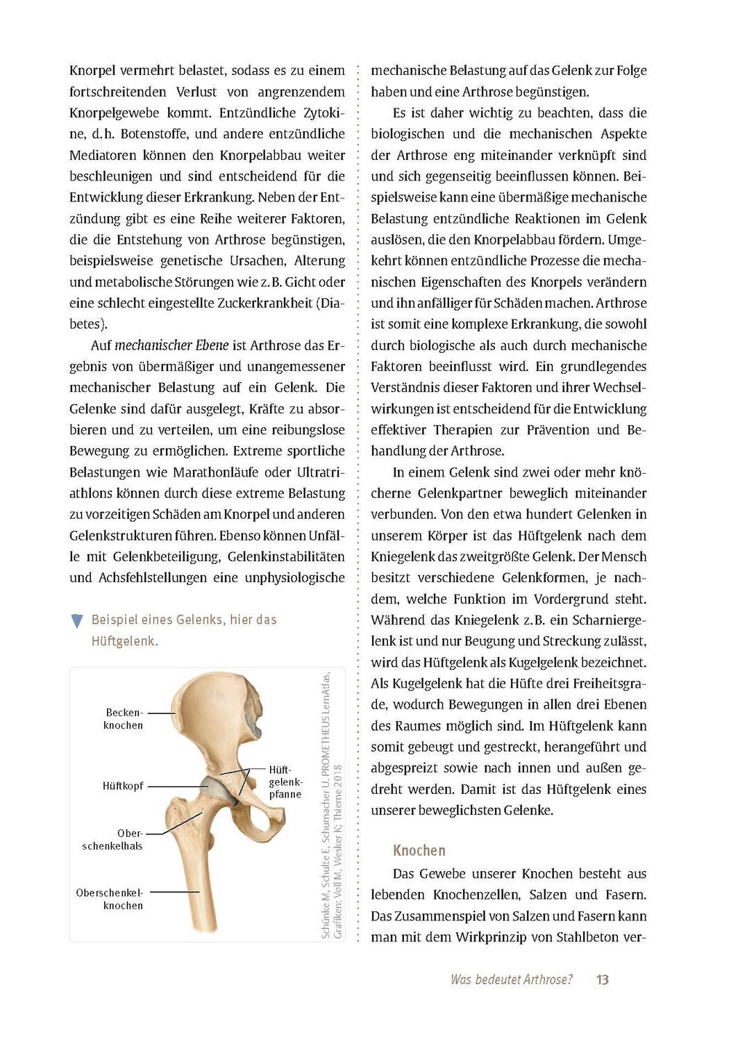 Bild: 9783432118918 | Expertenwissen: Arthrose | Hanno Steckel | Taschenbuch | 160 S. | 2024