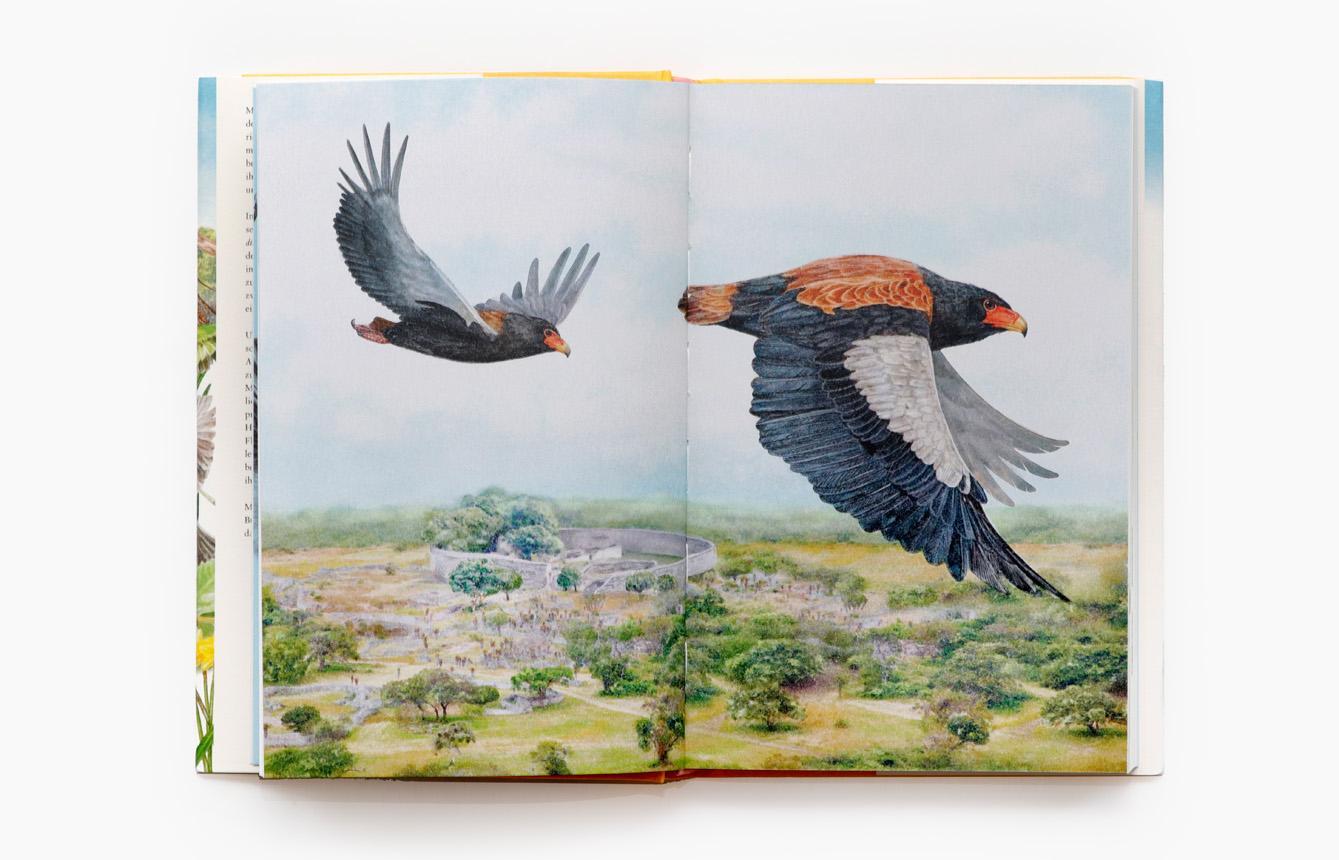 Bild: 9783962442330 | In 80 Vögeln um die Welt | Mike Unwin | Buch | 224 S. | Deutsch | 2022