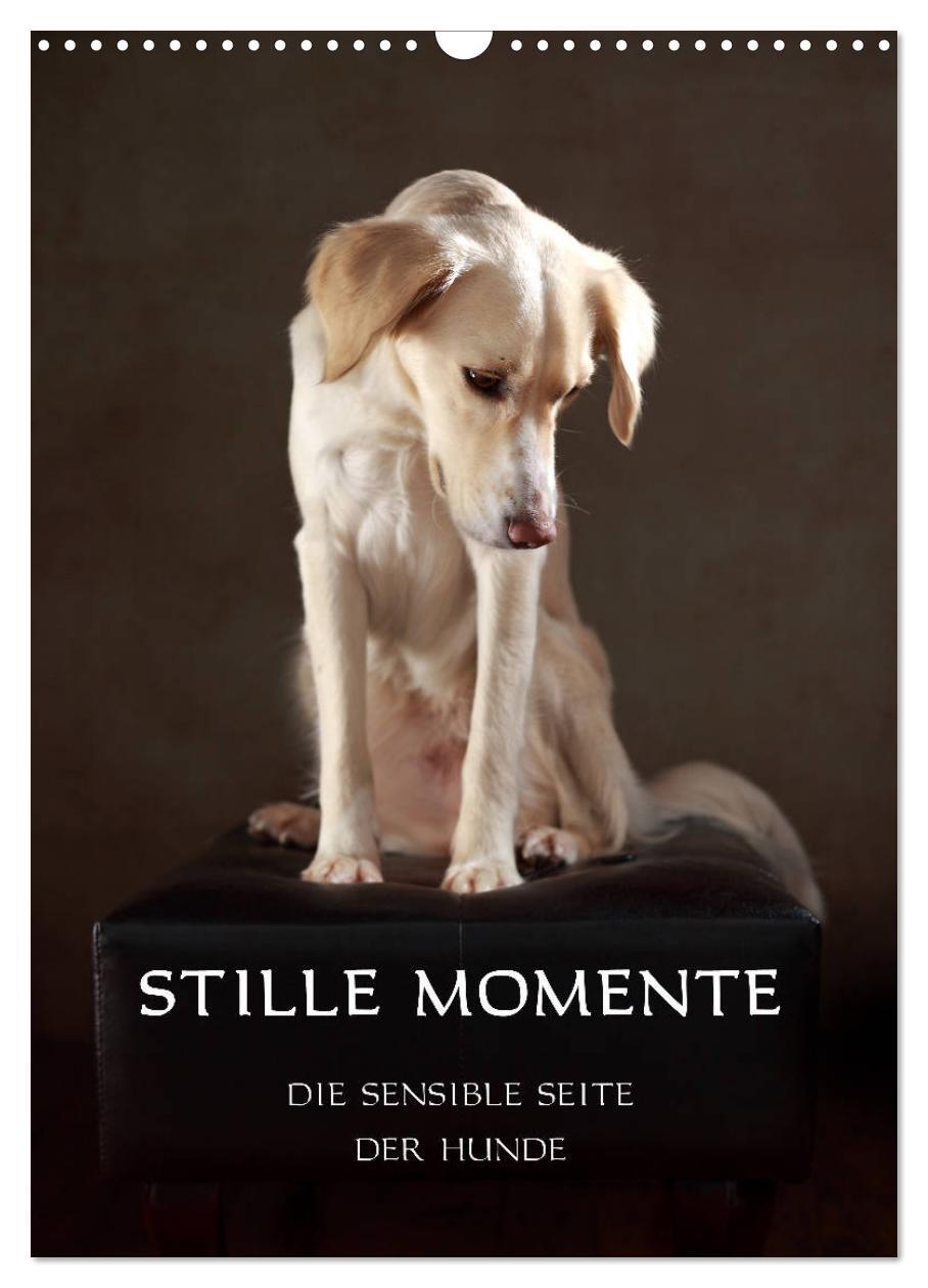 Cover: 9783435998203 | Stille Momente - Die sensible Seite der Hunde (Wandkalender 2025...