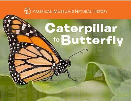 Cover: 9781454914068 | Caterpillar to Butterfly | American Museum Of Natural History (u. a.)