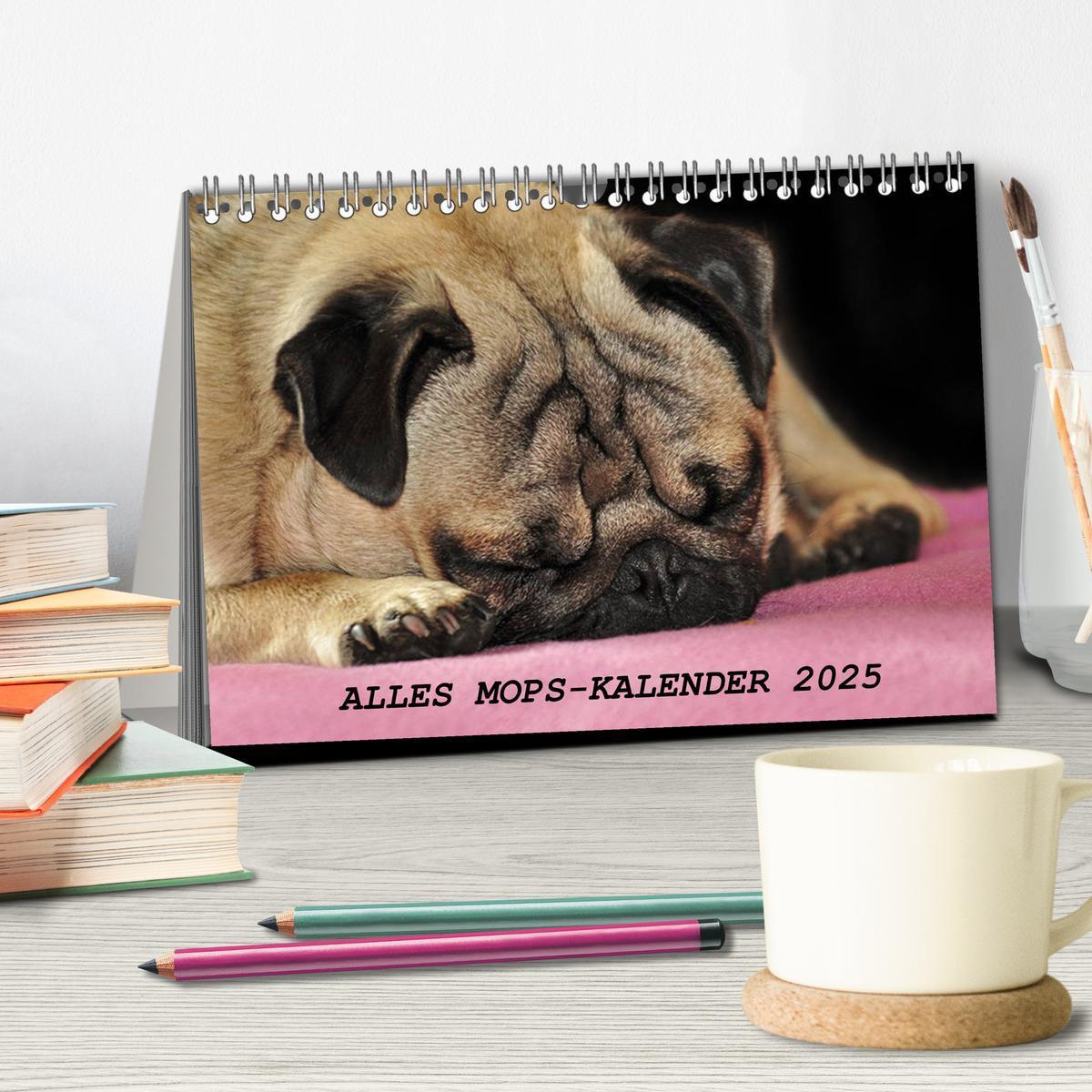 Bild: 9783435381869 | Alles Mops-Kalender 2025 (Tischkalender 2025 DIN A5 quer), CALVENDO...