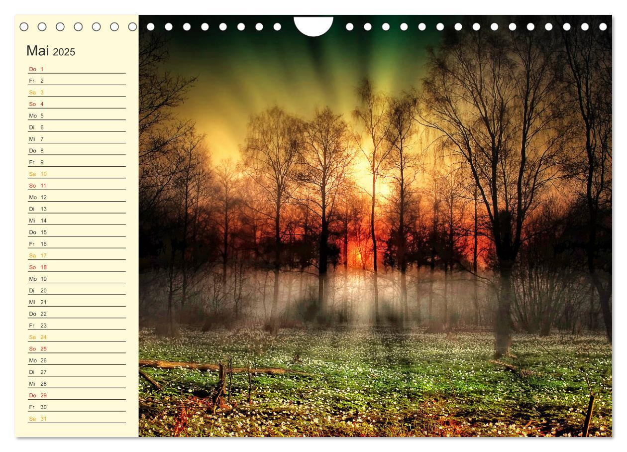 Bild: 9783435792191 | Friesland, verzauberte Landschaft an der Nordsee (Wandkalender 2025...