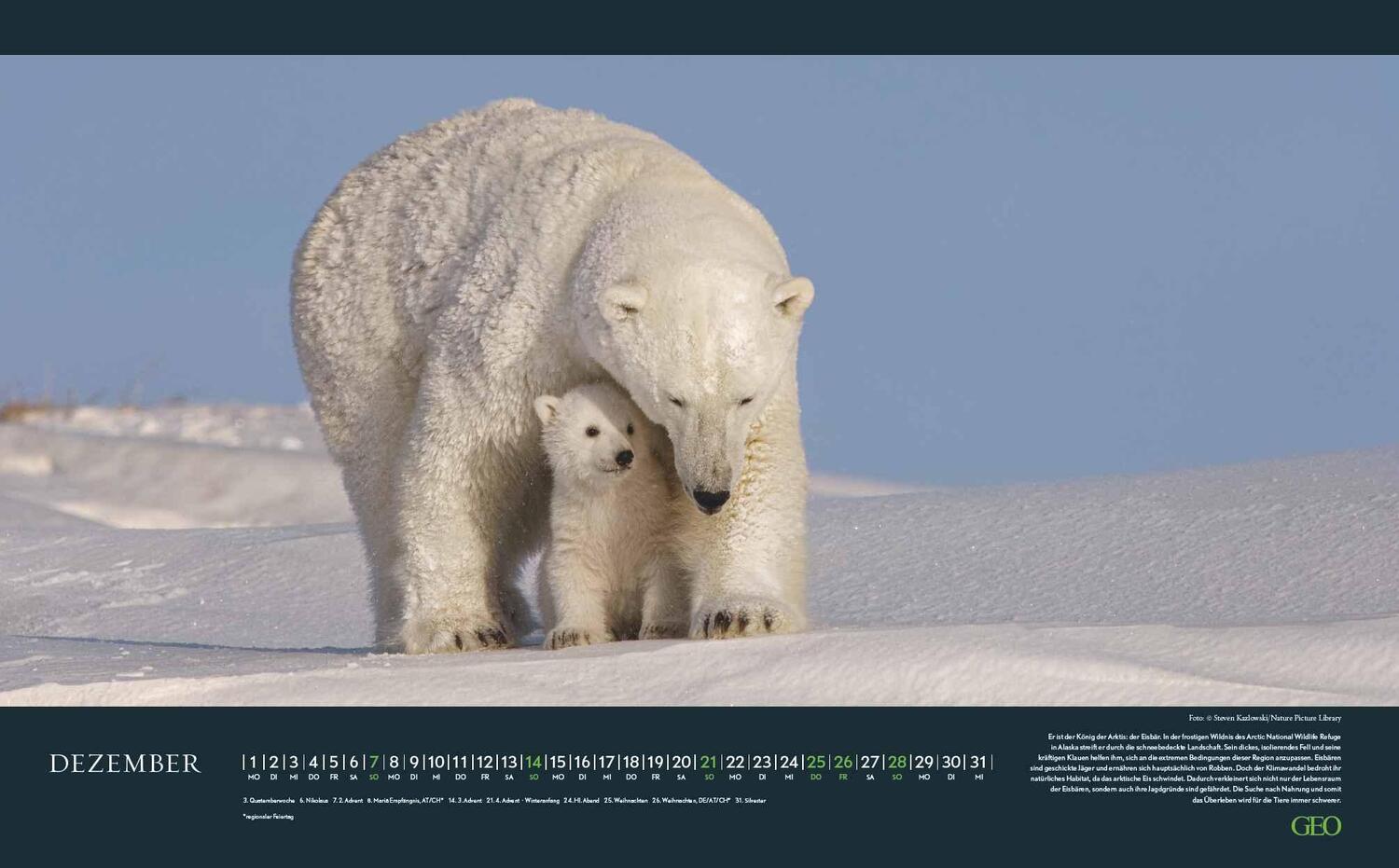 Bild: 4002725988645 | GEO Bedrohte Tierwelt 2025 - Wand-Kalender - Tier-Kalender -...