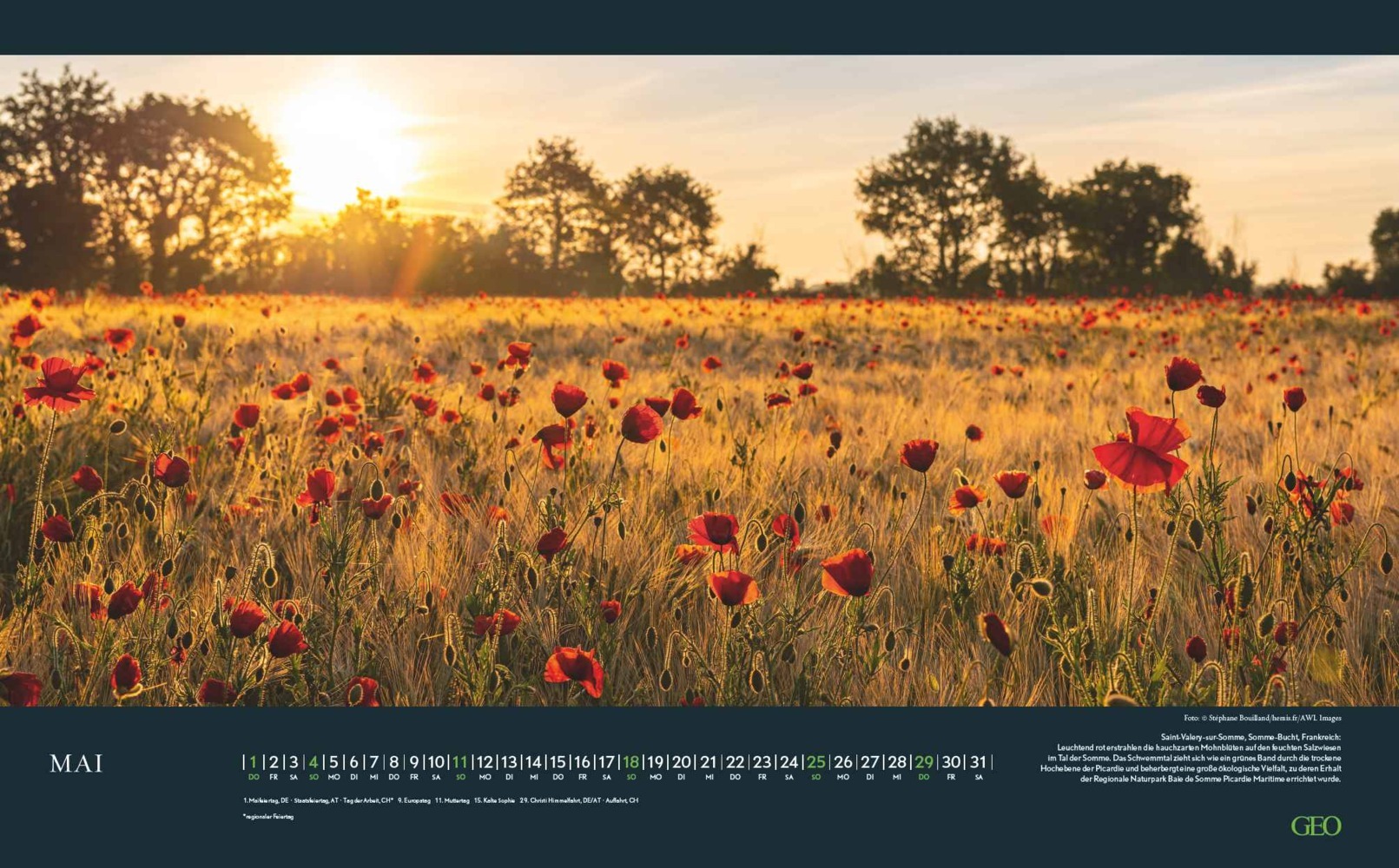 Bild: 4002725988812 | GEO - Sehnsuchtsorte 2025 Wandkalender, 58x36cm, Posterkalender mit...