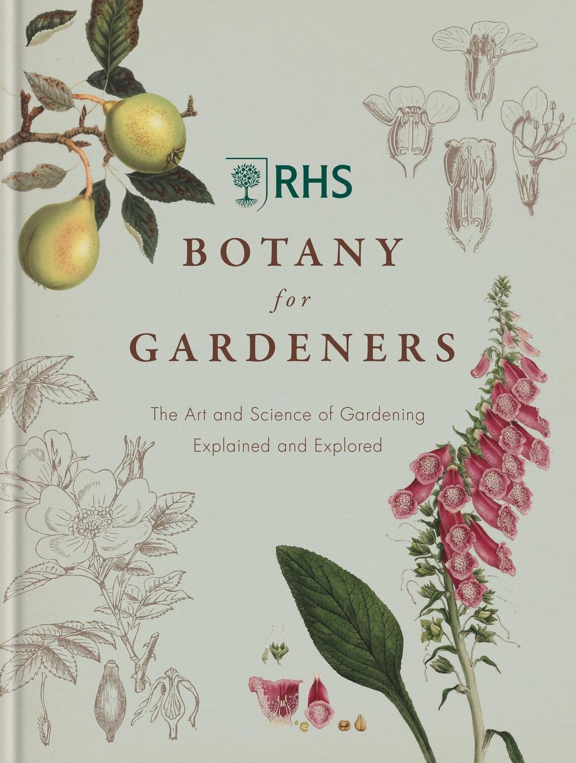 Cover: 9781845338336 | RHS Botany for Gardeners | Geoff Hodge | Buch | Gebunden | Englisch