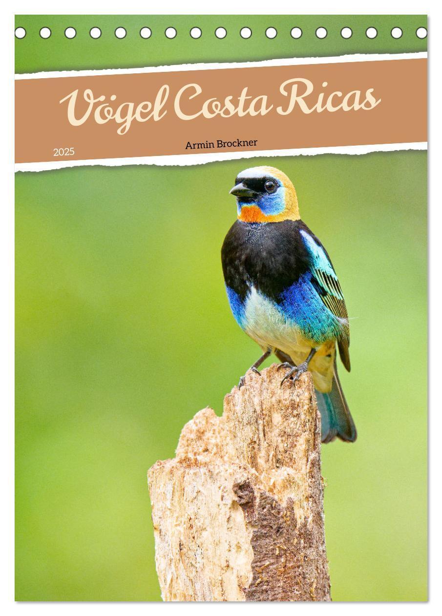 Cover: 9783383829444 | Vögel Costa Ricas (Tischkalender 2025 DIN A5 hoch), CALVENDO...