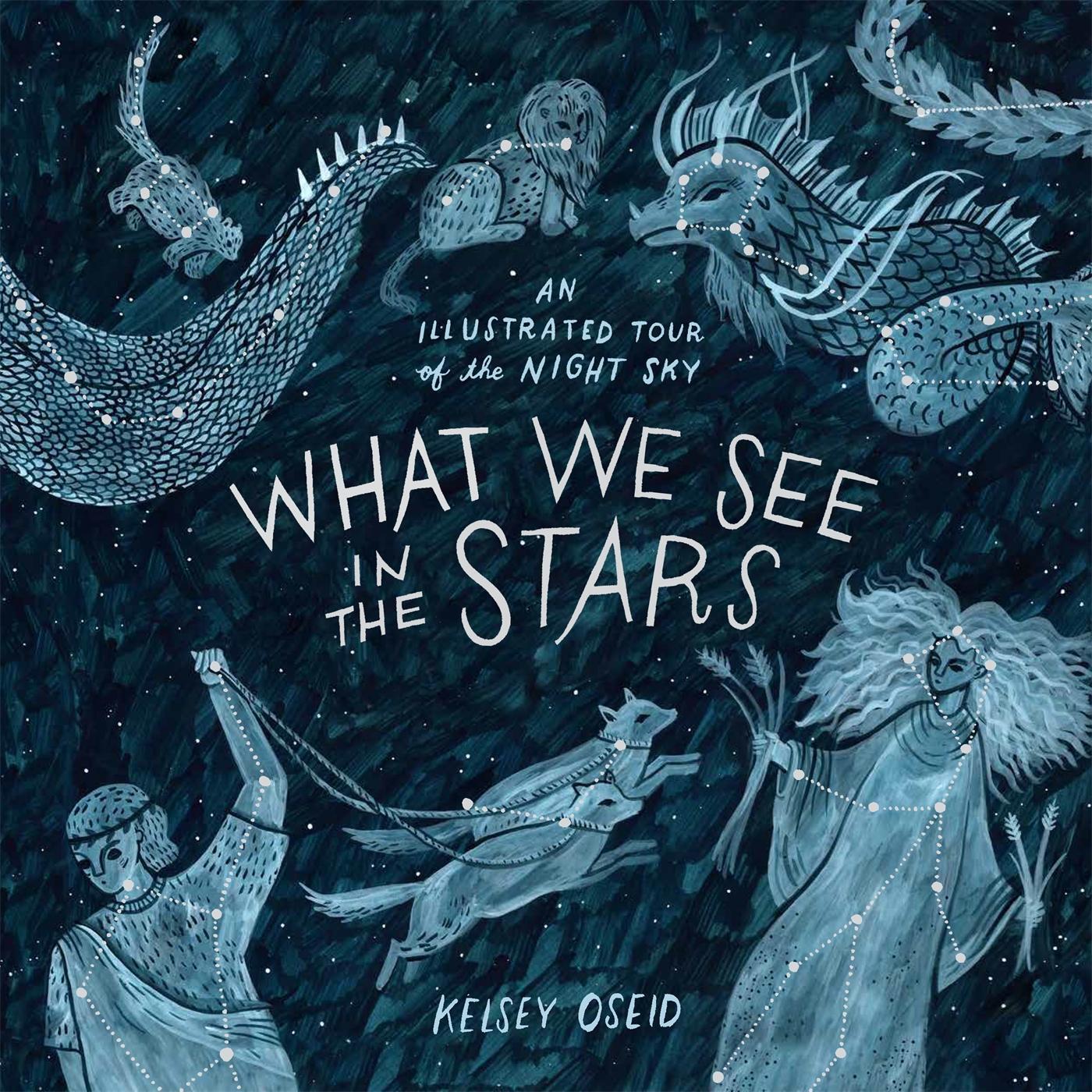 Cover: 9780752266510 | What We See in the Stars | An Illustrated Tour of the Night Sky | Buch