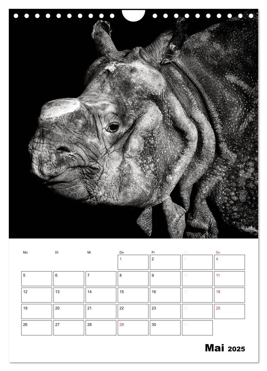 Bild: 9783457013533 | Charakterköpfe aus der Welt der Tiere (Wandkalender 2025 DIN A4...