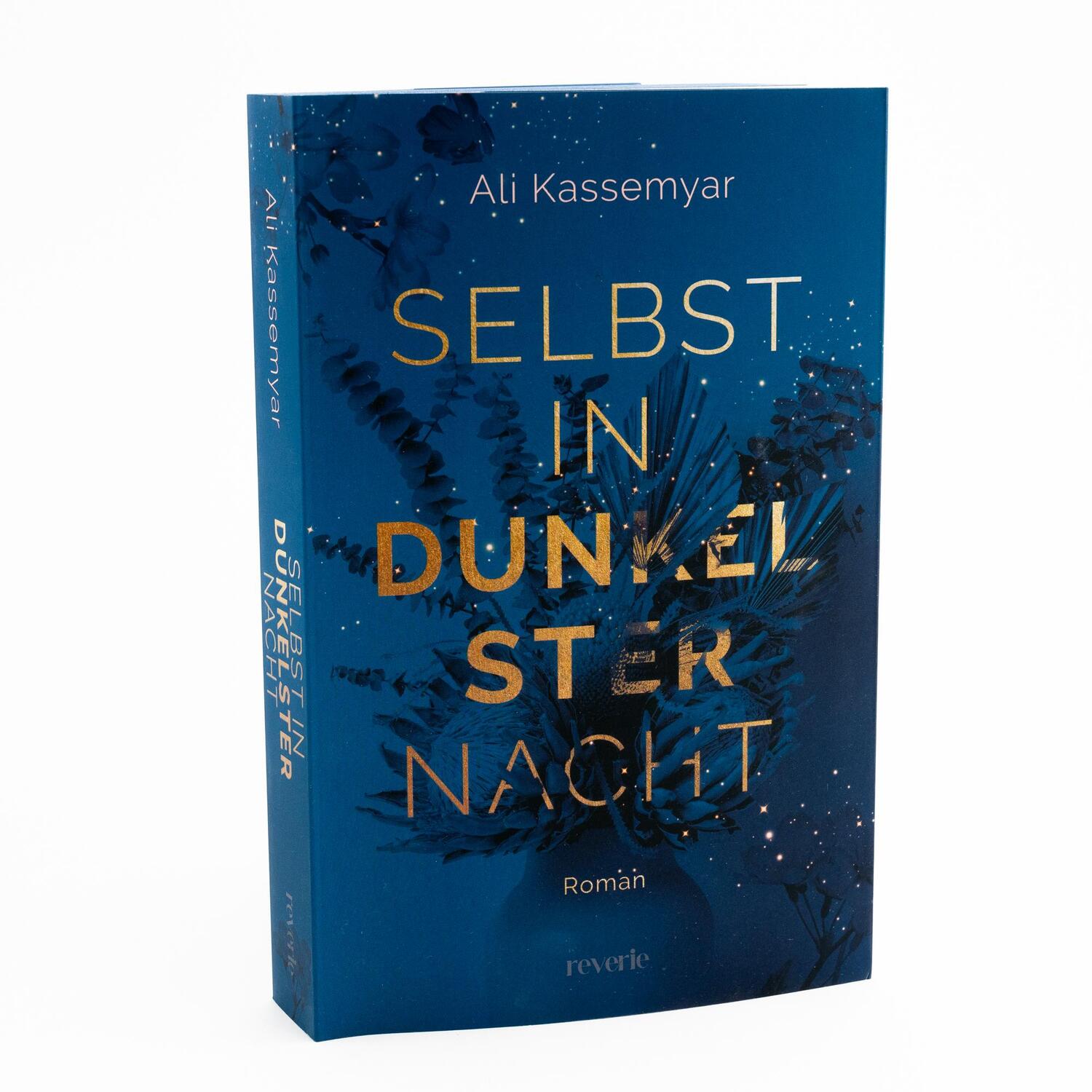 Bild: 9783745704105 | Selbst in dunkelster Nacht | Roman | Ali Kassemyar | Taschenbuch