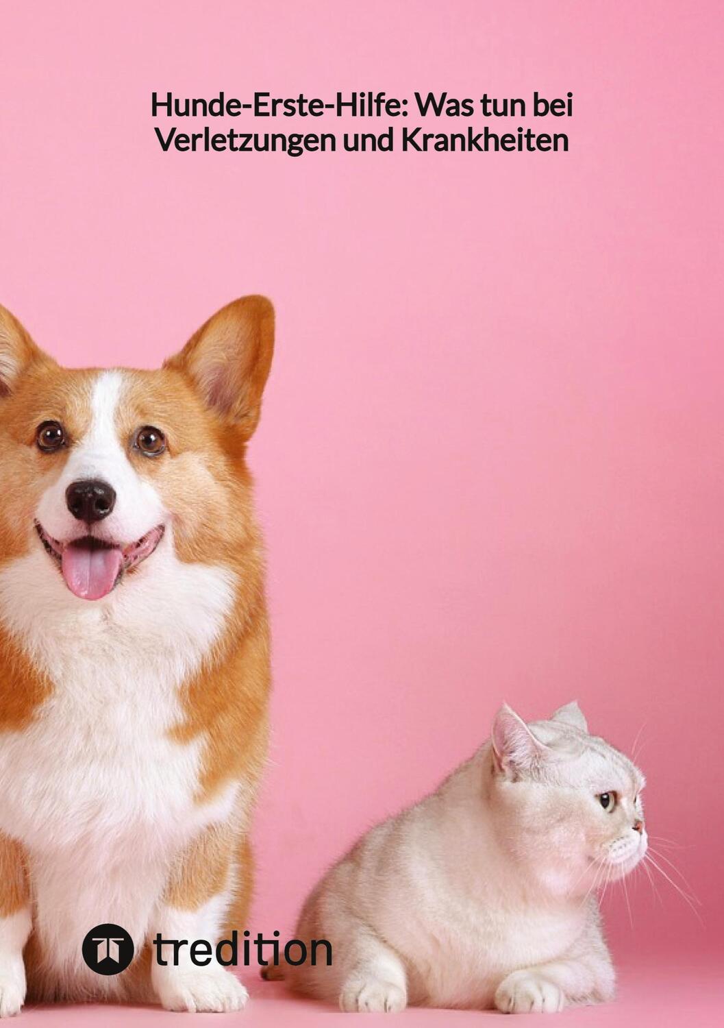 Cover: 9783347859135 | Hunde-Erste-Hilfe: Was tun bei Verletzungen und Krankheiten | Moritz