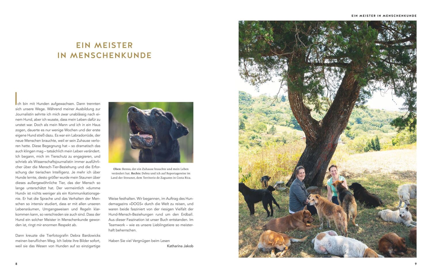 Bild: 9783833875601 | Gefährte Hund | Katharina Jakob | Buch | GU Haus &amp; Garten Tier-spezial