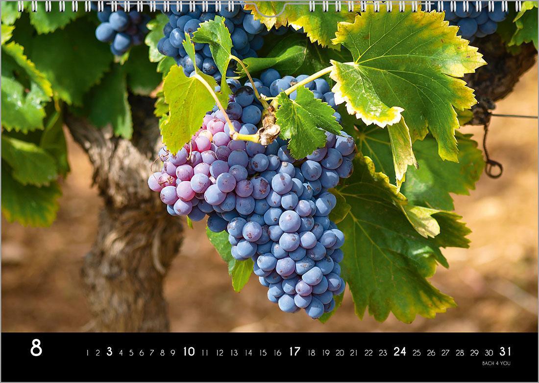 Bild: 9783969031087 | Der Weinkalender 2025, DIN A3 - ein Fotokalender | Peter Bach Jr.